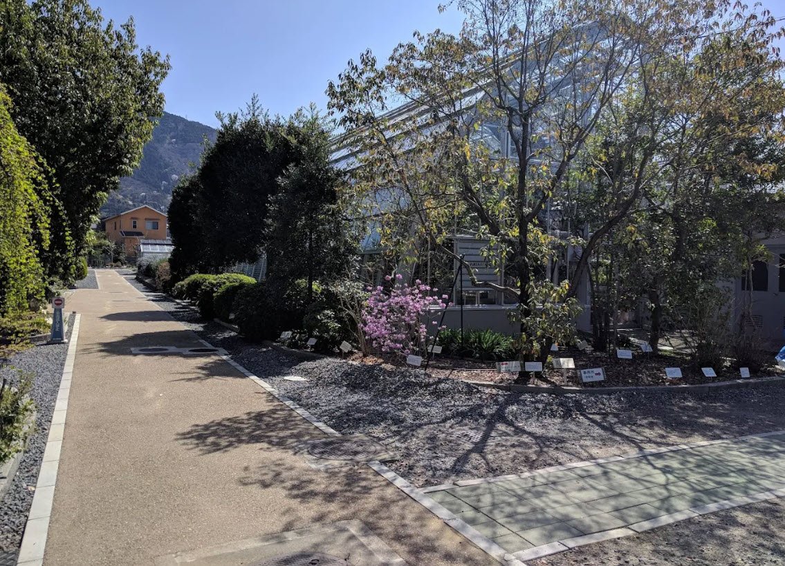 Yamashina Botanical Research Institute, Kyoto, Japan, Japan